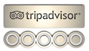 Custom private tours by Your Thai Guide on Trip Advisor