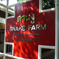 snake-farm-1